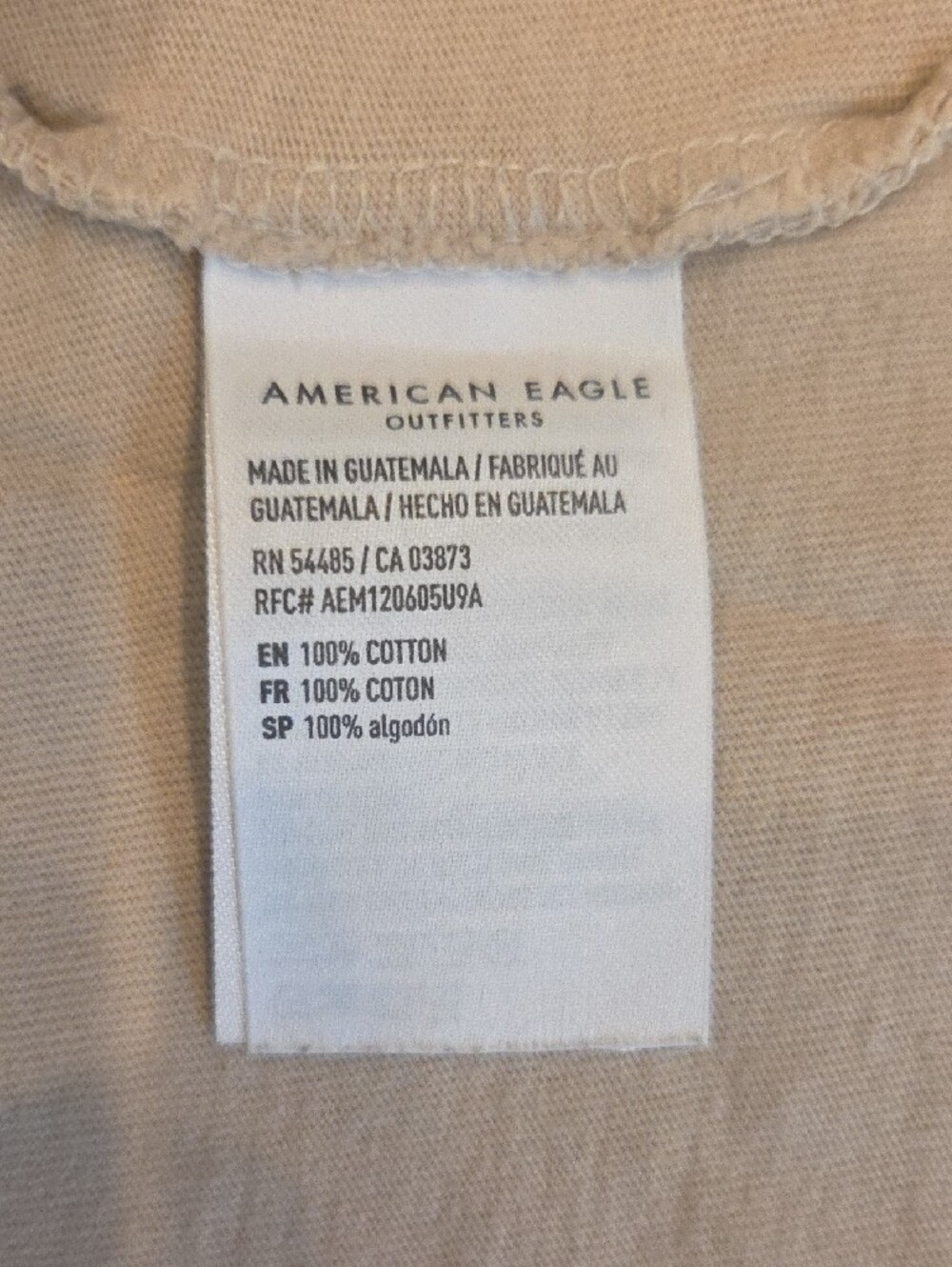 American Eagle Tan Graphic Boxy Tee - Picture 4 of 4